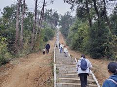 -青龙山国家森林公园