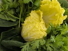-草原传奇鲜羊火锅(桥北店)