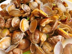 辣炒蛤蜊-海岛渔村大酒店(云霄路店)