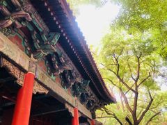-北京国子监胡同