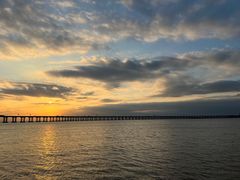 -宝安西湾红树林湿地公园