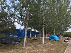 -永定河休闲森林公园