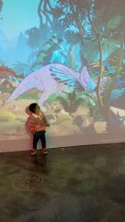 -恐龙探索乐园(磁器口店)