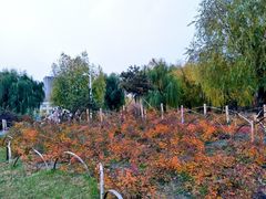 -长春公园(普阳街道)