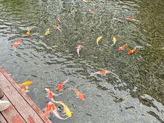 -深圳大学(丽湖校区)