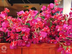 -觅山云南菜(泊富ICITY店)