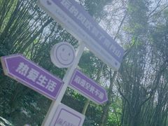-南丹山森林王国