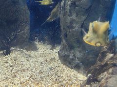 -福州罗源湾海洋世界旅游区