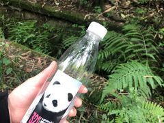 -肯德基(九江长江大道店)