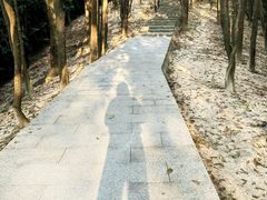 -火炉山森林公园