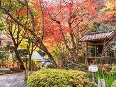 -七福日本料理