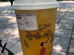 -茶颜悦色(岳麓山顶店)