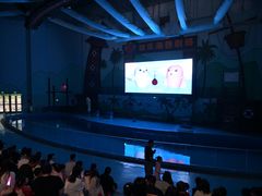 -石家庄极地海洋世界