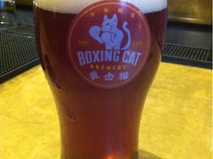 -Boxing Cat Brewery拳击猫精酿啤酒馆(永福店)