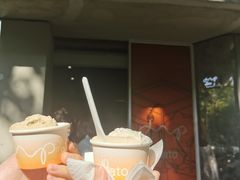无花果叶-DIP in GELATO(富民路店)