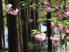 -杭州植物园