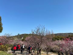 -无锡梅园公园