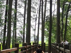 -东湖落雁景区