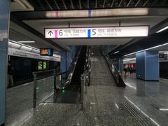 -大龙山(地铁站)