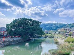 -南靖田螺坑土楼群景区