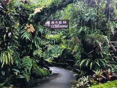 -绿光森林餐厅