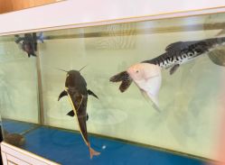 -FUMEIHUI·科技美肤·美体SPA