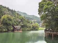 -洪崖丹井