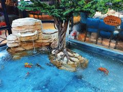 -57度湘(王府井10F店)