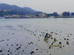 -西澳岛