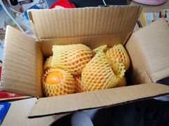-CoCo都可(惠福店)