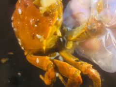 -二钳洞庭虾蟹·江湖菜(成都鹭岛店)