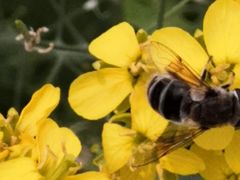 -长春公园(普阳街道)