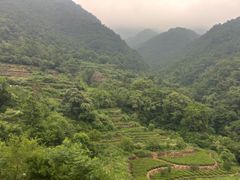 -武汉姚家山旅游景区