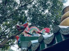 -凤凰山公园-龙王古庙