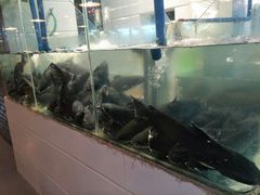 -湄公河秘制烤鱼(西双十贰城商业中心店)