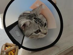 -荔康动物医院(康王北路店)