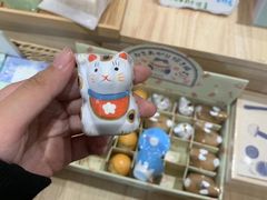 -猫的天空之城概念书店(束河店)