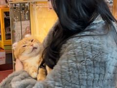 -平行世界·猫咖(首经贸店)