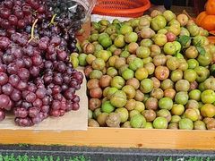 -港华水果街(港华广场店)