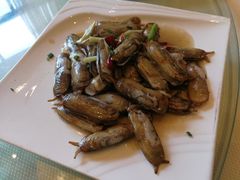 -莆鑫海鲜城(浏河店)