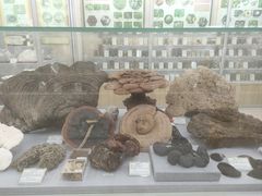 -北京中医药大学-中医药博物馆