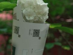 -钱王祠
