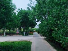 -大港湿地公园