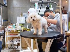 -悠尼宠物·独立低压伊珊娜洗护·美容·寄养(兰谷路店)