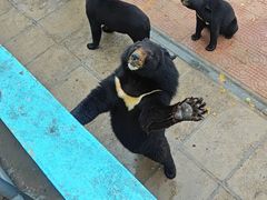 -西霞口神雕山野生动物世界