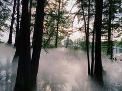 -东湖落雁景区