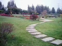 -紫颐香薰山谷景区