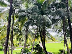 -海南清水湾莱佛士酒店