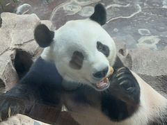 -济南野生动物世界