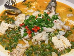 鲜椒豆花鲈鱼-川味堂·四川豆花(八卦岭店)